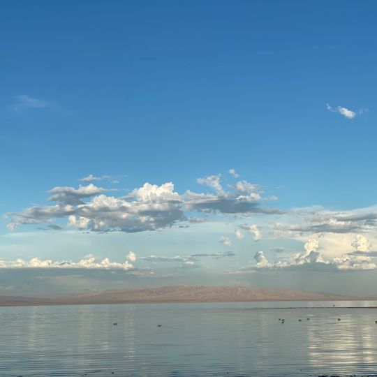 Salton Beach