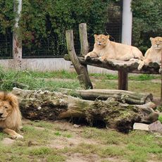 Ogród Zoologiczny w Płocku