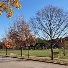 Cartwright Park
