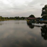 Tambang