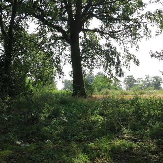 Manor Park in Jasiewo