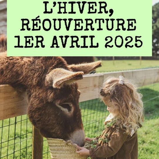 Asinerie du Marquenterre