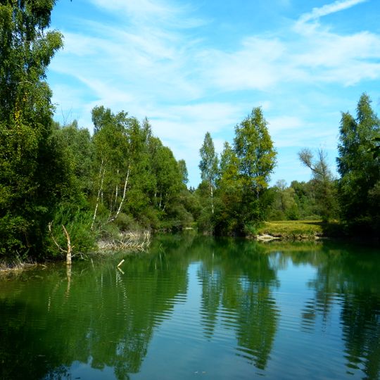 Lechauwald bei Todtenweis und Rehling