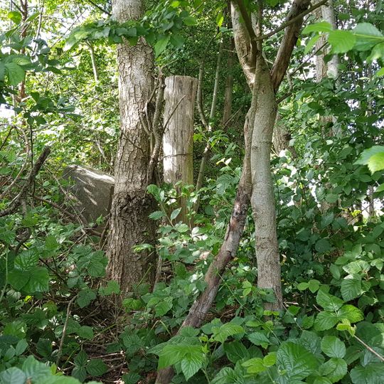 Pierre de frontière Belgique-Pays-Bas no. 86a