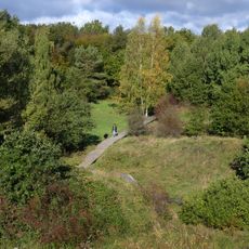 Wiesen am Layenhof - Ober-Olmer Wald