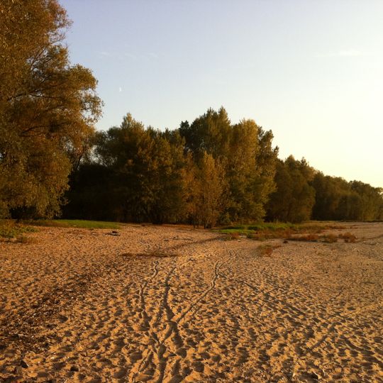 Himmelgeister Rheinbogen