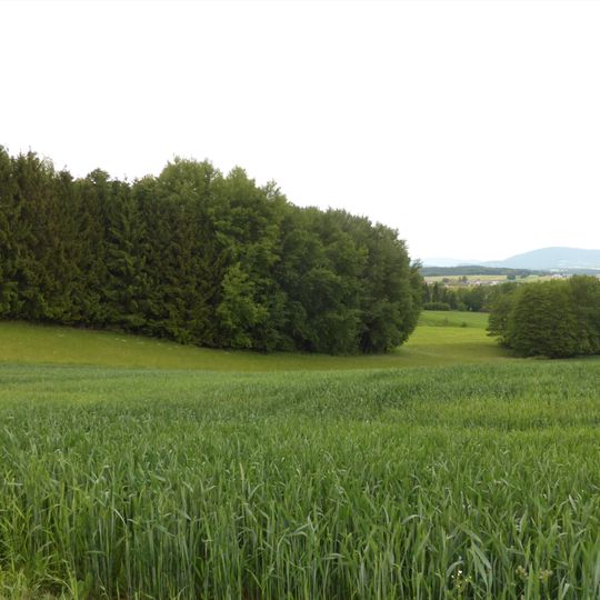 Stockhügel und Auerbach