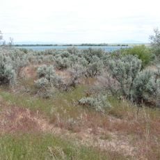 Minidoka National Wildlife Refuge