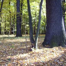 Vrť (nature reserve)