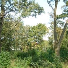 Sturmfederscher Kellergarten