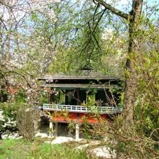 Cluj-Napoca Botanical Garden