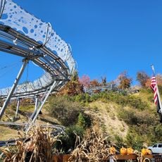 Rocky Top Mountain Coaster