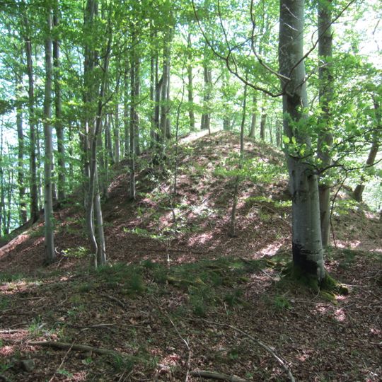 Burgstall Schlossbühl