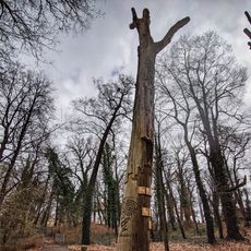 Lubniewice miejsce które pokochasz