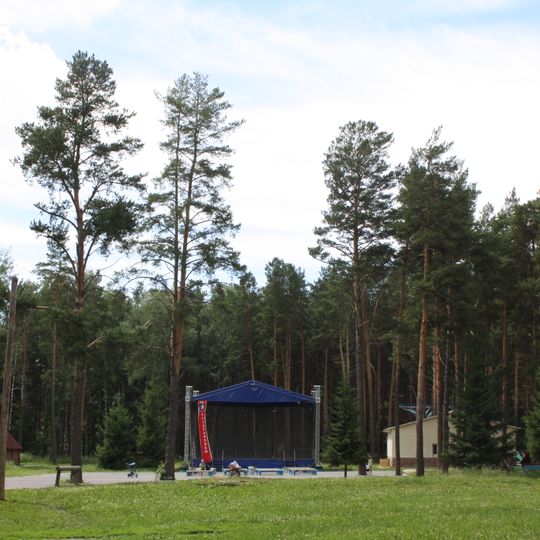 Сосновый бор