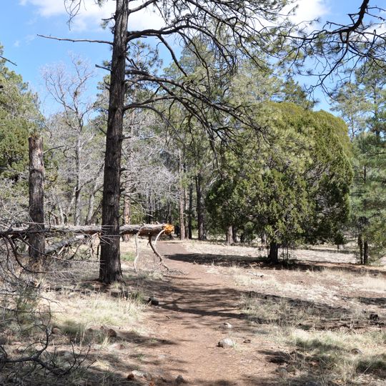 Woodchute Wilderness