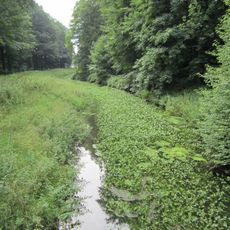 Waldbestand des Gutes Daren