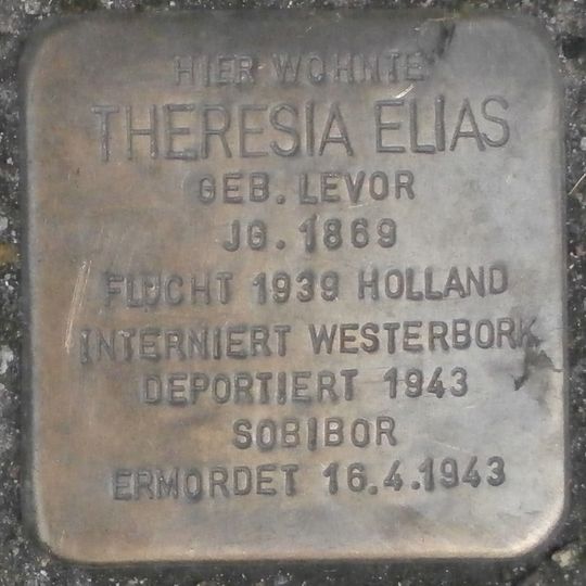 Stolperstein en memoria de Theresia Elias