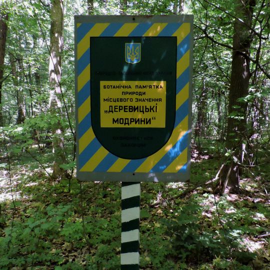 Derevytski modryny botanical natural monument