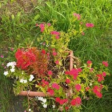 The Escurial Zoo and Flower Park