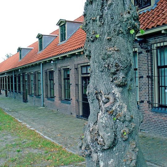 Koloniën van Weldadigheid
