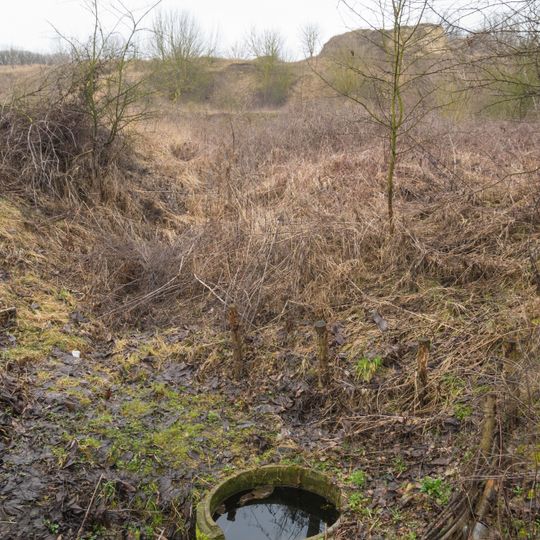 Дорогобузькі джерела