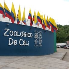 Cali Zoo
