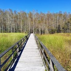 Corkscrew Swamp Sanctuary
