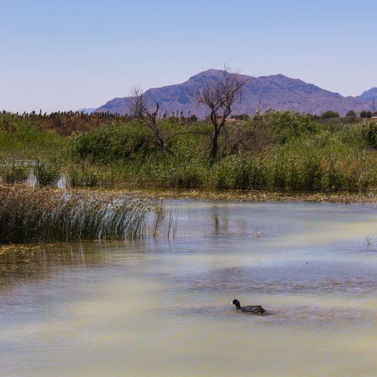 Parc naturel El Hondo