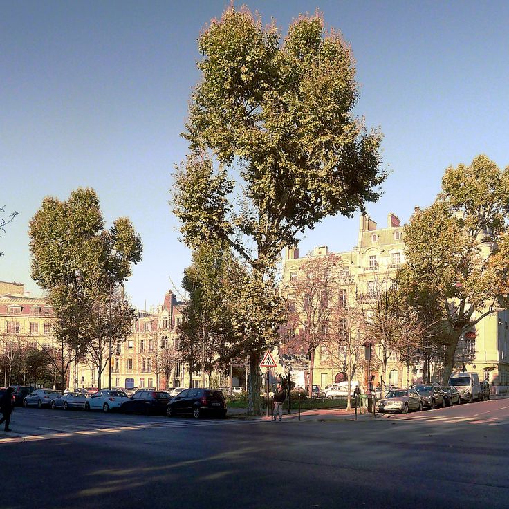 Place du Général-Catroux