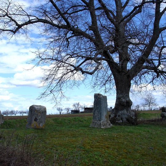 Gerichtslinde an der Dettenhäuser Straße