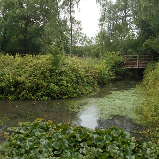 Medieval moated site, South Park Farm