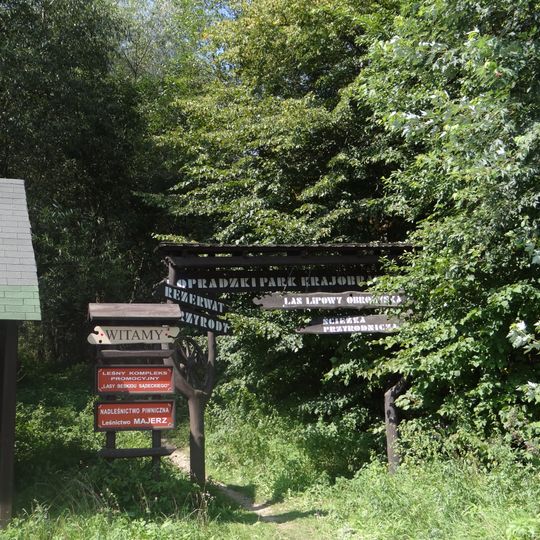 Rezerwat przyrody Las Lipowy Obrożyska