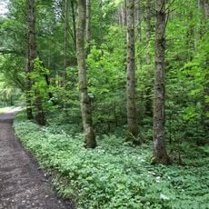 LSG Perlacher und Grünwalder Forst einschließlich des Gleißentales