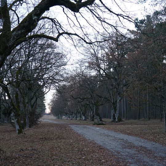 Lindenhain Bei der Straßenkapelle