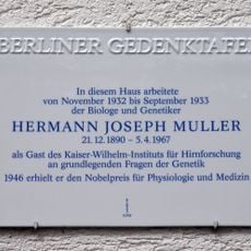 Hermann Joseph Muller