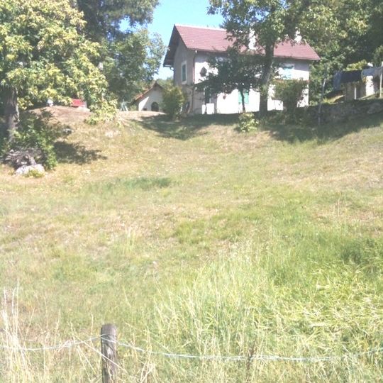 Cappella Virgo Potens