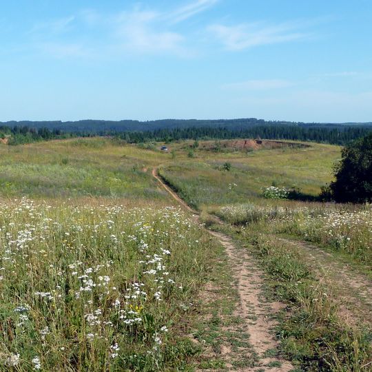 Okhansky District