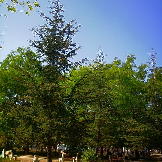 Nevsky square, Simferopol