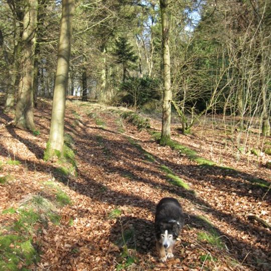 Boddington Camp: a slight univallate hillfort on the summit of Boddington Hill