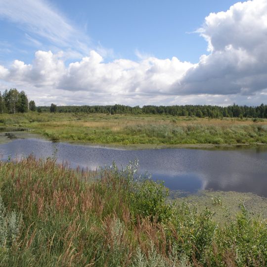 Gus'-Chrustal'nyj rajon