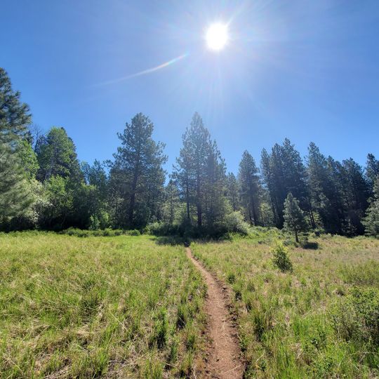 Brooks Memorial State Park