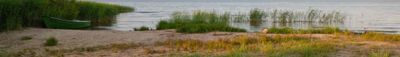 Panoramic View 1