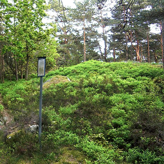 Västra Frölunda 94:1