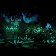 Indian Water-lilies