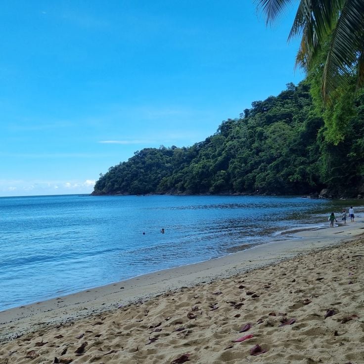 Englishman's Bay