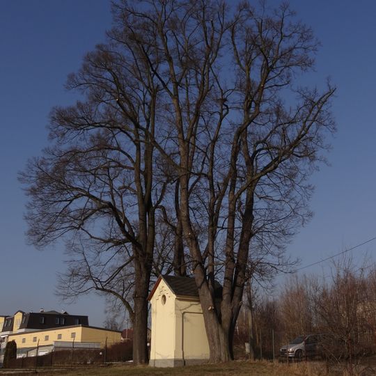 Lípy u svatého Ambrože