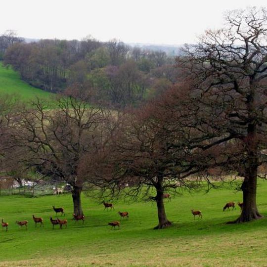 Bucklebury Farm Park