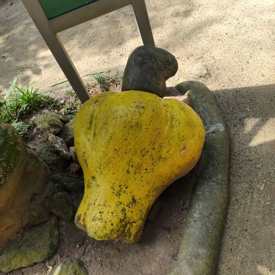 Escultura Naif - O Caju