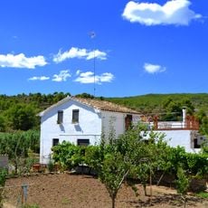 Molí del Salvador Bola